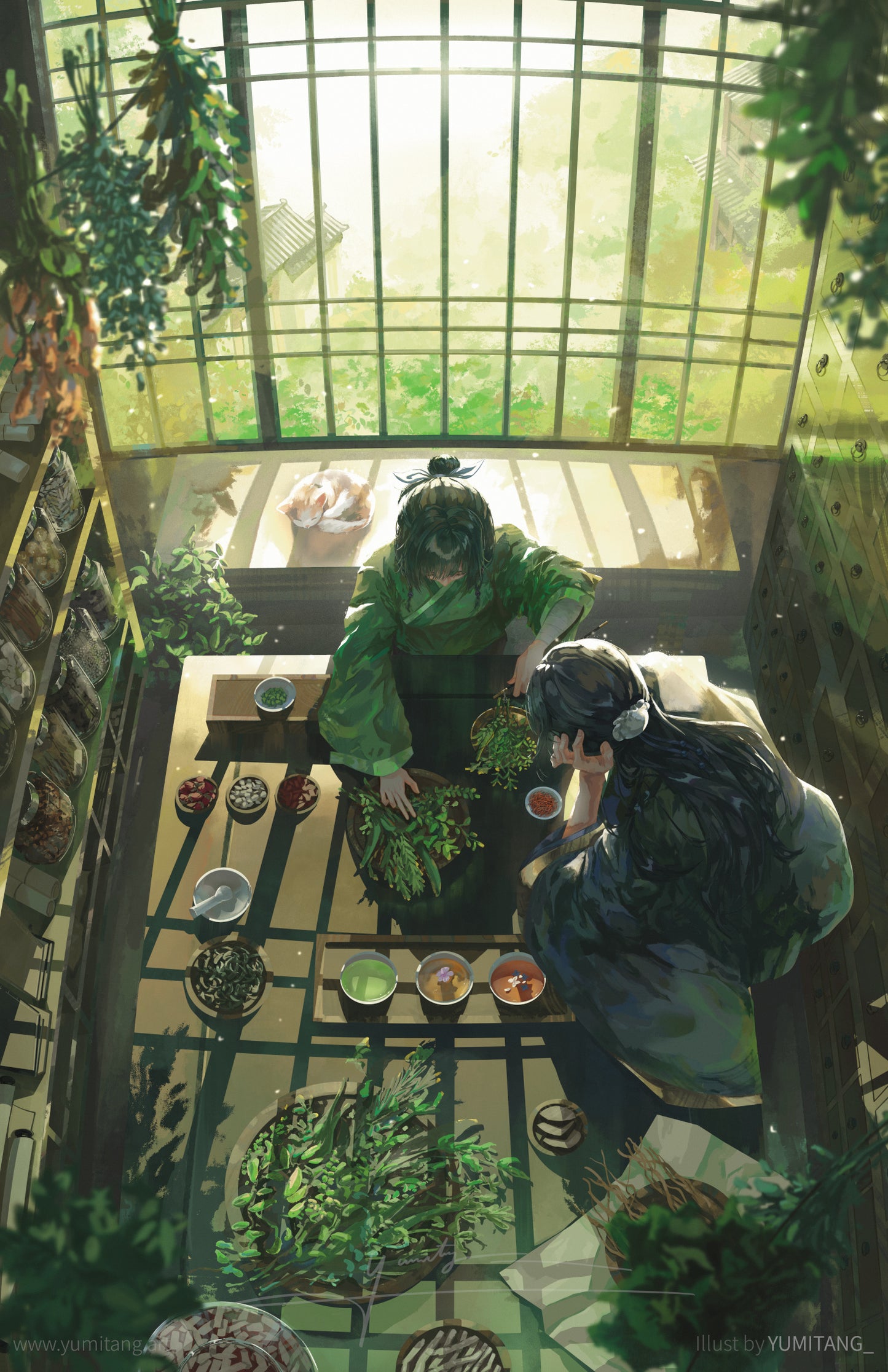 Apothecary II 11"x17" Print