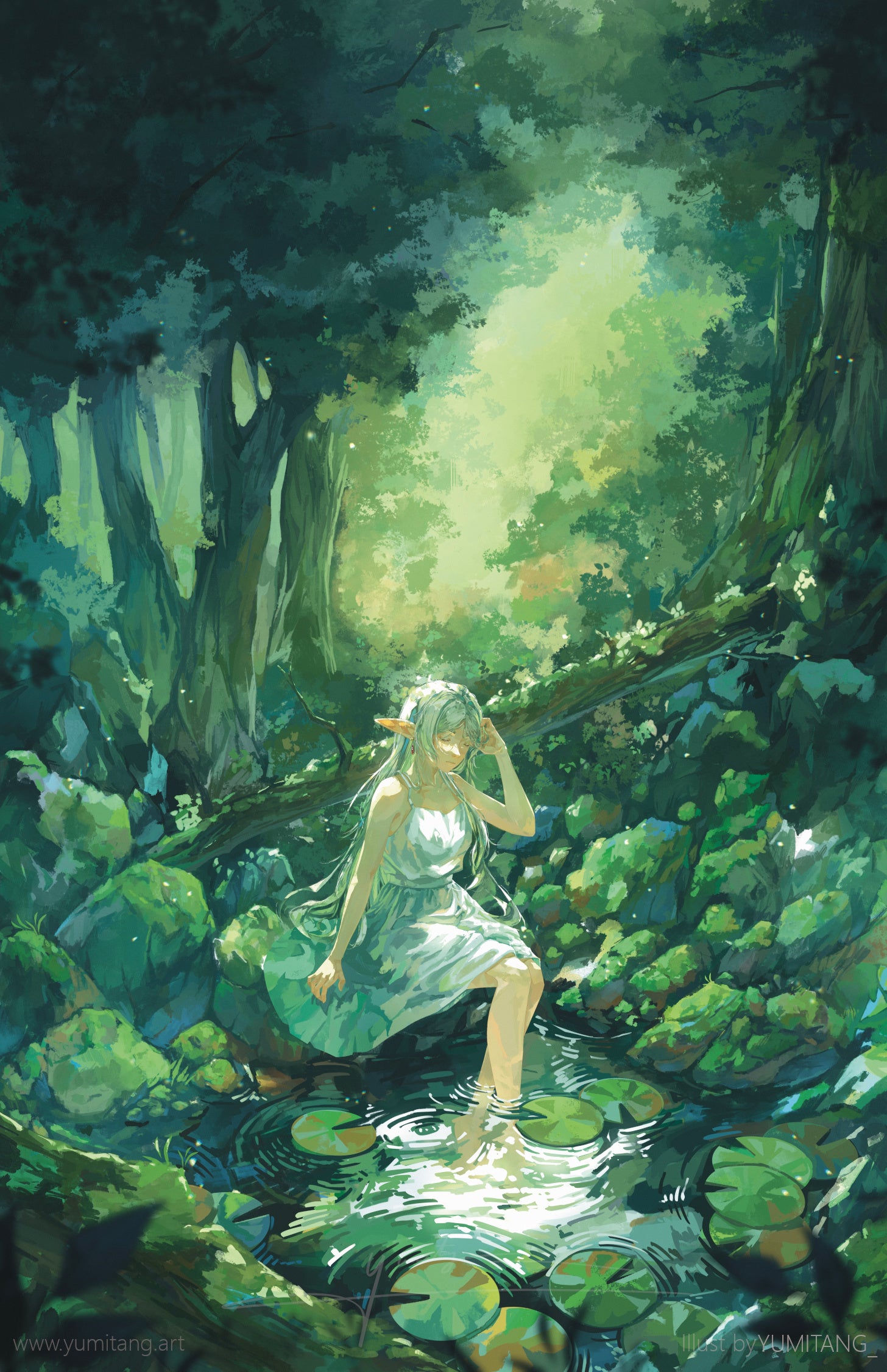 Forest Pond 11"x17" Print